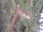 sendero adaptado2.JPG