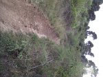 sendero adaptado4.JPG