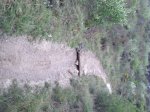 sendero adaptado5.JPG