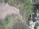 sendero adaptado6.JPG
