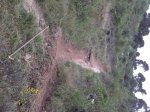sendero adaptado9.JPG