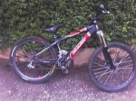 31-03-07_2008.jpg
