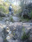 bici 0181b.jpg