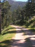 DSCN2003.JPG