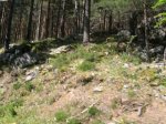 DSCN2004.JPG