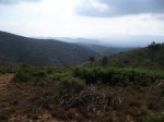 imagen 005_2.jpg