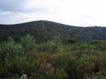 imagen 011_2.jpg