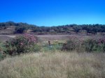 Zahinos-Cheles. 028.jpg