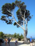 DSCN0539.JPG