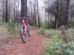 IMG-20140420-WA0000.jpg