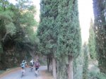 IMG_5225.JPG