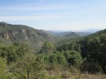 IMG_5244.JPG