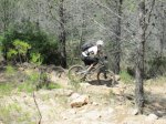 IMG_5287.JPG
