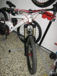 IMG_2721.jpg