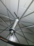 CAM01826.jpg