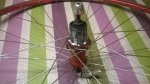 WP_20140423 2.jpg