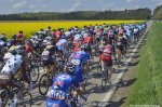fleche14_peloton.jpg