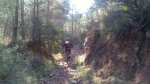 DSC_8196.jpg