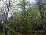 Otxagabia 2014 062.jpg