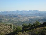 IMG_5332.JPG