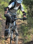 IMG_5337.JPG