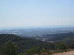 IMG_5345.JPG