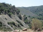 IMG_5351.JPG