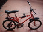 bici.png