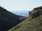IMG_5359.JPG