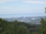 IMG_5401.JPG