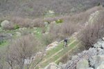 DSC_1876.JPG