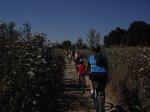 Copia de PICT3151.JPG