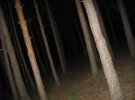 IMG_3674.jpg