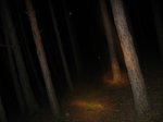 IMG_3676.jpg