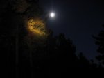 IMG_3686.jpg