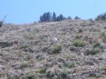 P0000099_redimensionar.JPG
