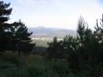IMG_3707.jpg