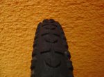DSC02449.JPG