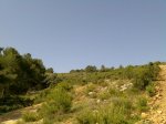 Imagen034.jpg