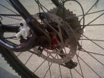 IMG00415-20140429-1835.jpg