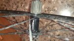 IMG-20140430-WA0011.jpg