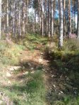 2014-04-20 18.56.55.jpg