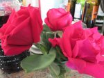 IMG_5461.JPG