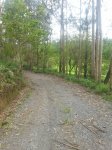 IMG_20140501_175613.jpg