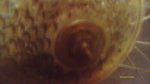 IMAG0098.JPG