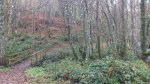 DSC_0883.JPG