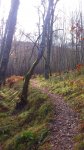 DSC_0895.JPG
