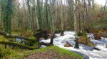 DSC_0901.JPG