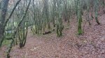 DSC_0903.JPG
