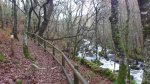 DSC_0904.JPG